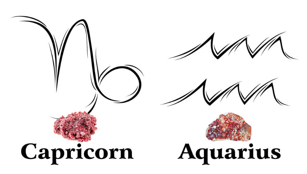 Garnet VS Ruby - Aquarius VS Capricorn